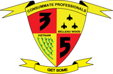 3rd Battalion, 5th Marines 3rd Battalion, 5th Marines