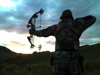 Bow Hunting Bow Hunting