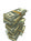 Loans Loans