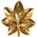 O-4 - LCDR O-4 - LCDR