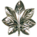 O-5 - CDR O-5 - CDR