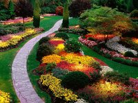 Gardening Gardening
