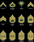 Enlisted Enlisted