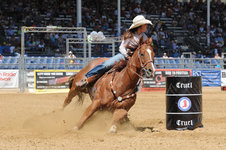 Rodeo Rodeo