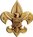 Boy Scouts Boy Scouts