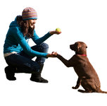 Dog Training Dog Training