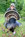 Turkey Hunting Turkey Hunting
