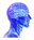 Psychology Psychology