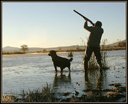Duck Hunting Duck Hunting