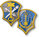US Army Intelligence & Security Command US Army Intelligence & Security Command