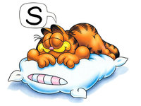 Sleeping Sleeping