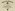 Honorable_discharge008_full
