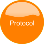 Protocol Protocol