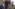 02465838216ea014750f6a70670013dd_c0-34-4761-2809_s561x327
