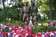Fallen Soldiers Fallen Soldiers