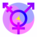 Transgender Transgender
