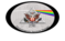 Electromagnetic Spectrum Manager Electromagnetic Spectrum Manager