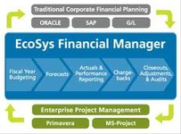Financial Manager Financial Manager