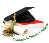 Primary Education Primary Education