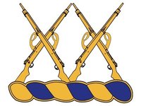 5th Battalion, 20th Infantry Regiment 5th Battalion, 20th Infantry Regiment