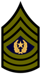 Section Sergeant Section Sergeant