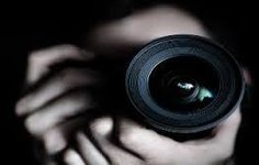 Special Investigator Special Investigator
