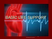 Basic Life Support (BLS) Instructor Basic Life Support (BLS) Instructor