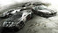 Fast Cars Fast Cars