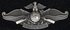 Enlisted Fleet Marine Force Warfare Specialist (FMF) Enlisted Fleet Marine Force Warfare Specialist (FMF)