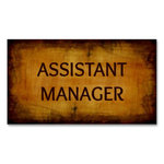 Assistant Manager Assistant Manager