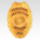 Protection Officer Protection Officer