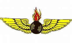 Aviation Ordnance Officer Aviation Ordnance Officer