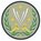 Combined Joint Task Force - Operation: Inherent Resolve Combined Joint Task Force - Operation: Inherent Resolve