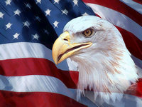 American Flag American Flag