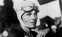 Aviator Aviator