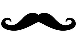 Facial Hair Facial Hair