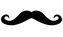 Facial Hair Facial Hair
