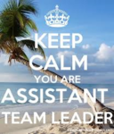Assistant Team Leader Assistant Team Leader