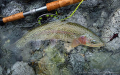 Fly Fishing Fly Fishing