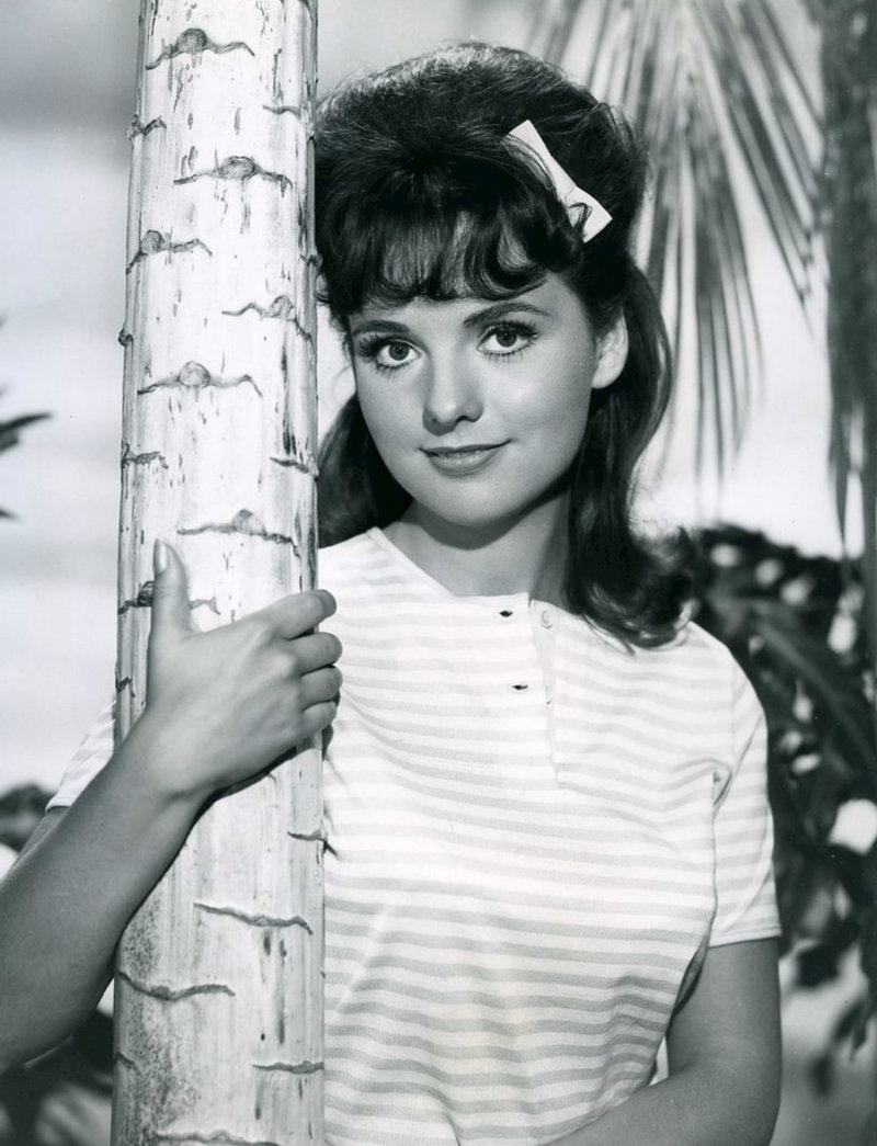 Dawn Wells Wikipedia RallyPoint