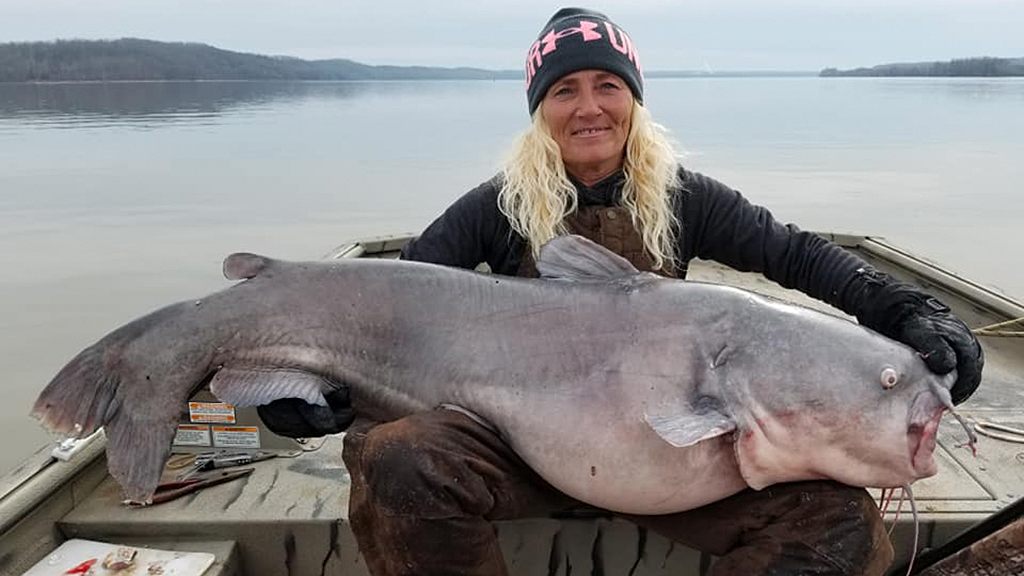 Woman catches 'monster' 88pound catfish on Kentucky Lake, says it's a