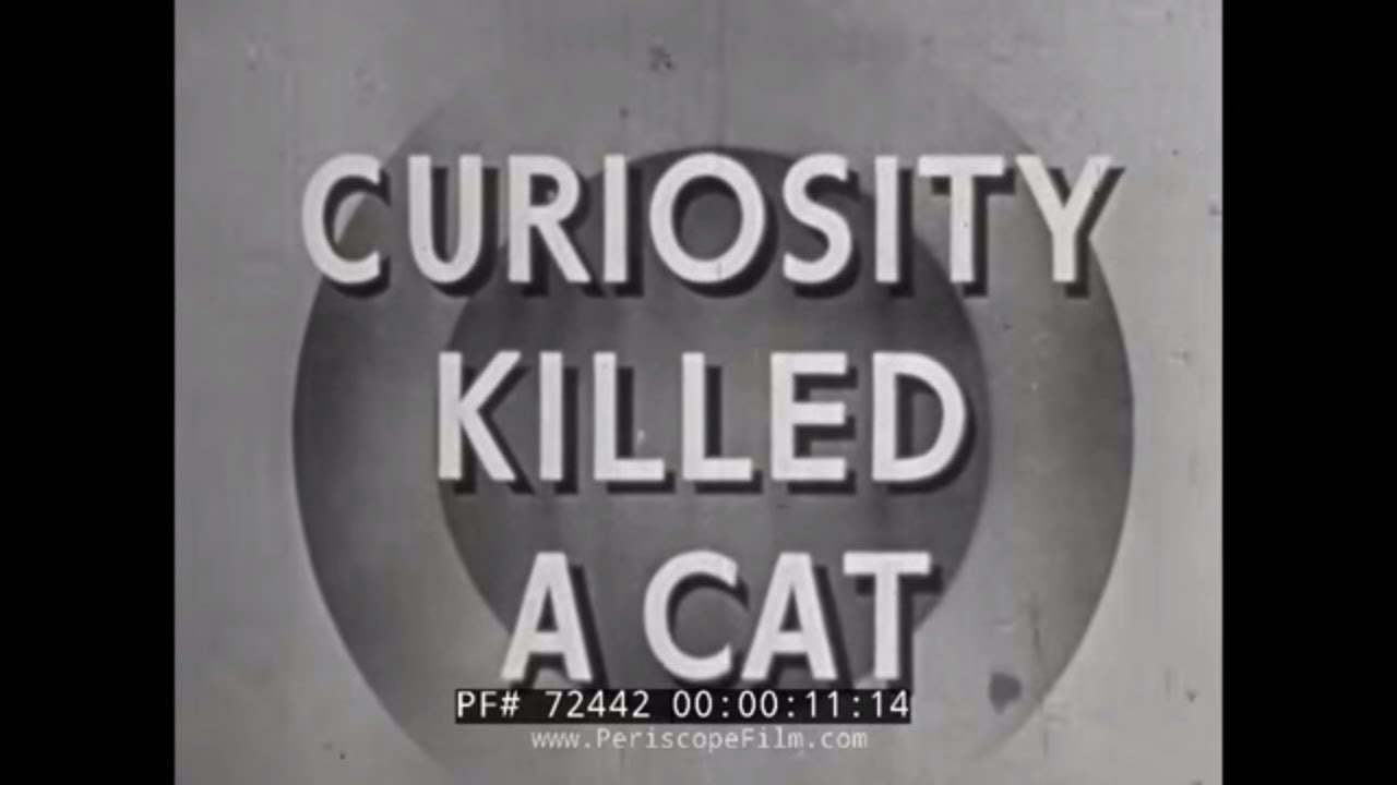 WORLD WAR II U.S. ARMY UNEXPLODED ORDNANCE TRAINING FILM