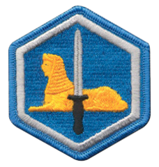 323rd Military Intelligence Battalion 323rd Military Intelligence Battalion