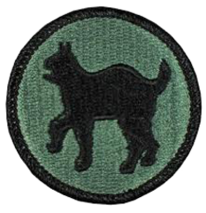 81st Regional Support Command 81st Regional Support Command