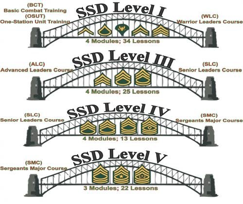 ssd level 1 module 1 exam answers