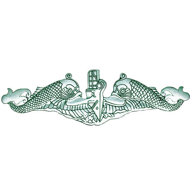 What Group would the Navy's Enlisted Submarine Warfare Qualification