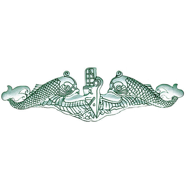 What Group would the Navy's Enlisted Submarine Warfare Qualification badge fall under for the