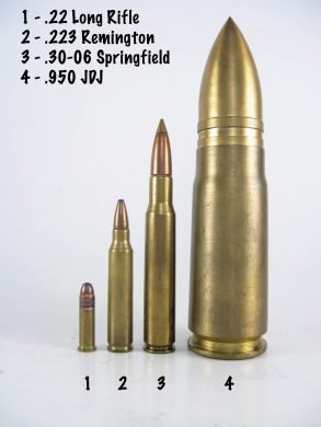 Shooting the .950 JDJ - Largest Sporting Rifle Made | RallyPoint