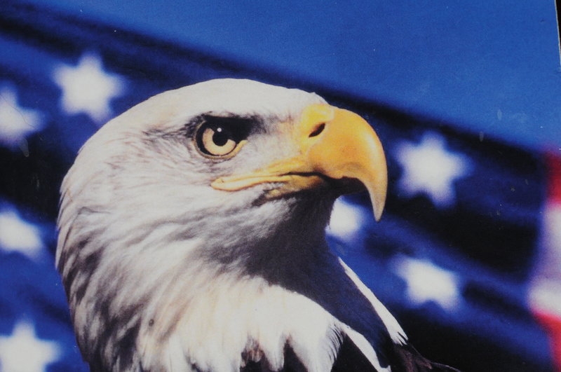 The Army's "War Eagle." RallyPoint