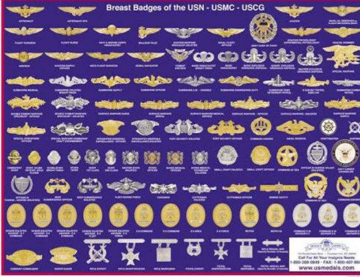 Should Qualification Badges Earned From U S Service Schools By In The Era Of Jointness Many Service Members Attend Schools Hosted By Their Sister Services And Earn Qualification Badges Devices For Successful